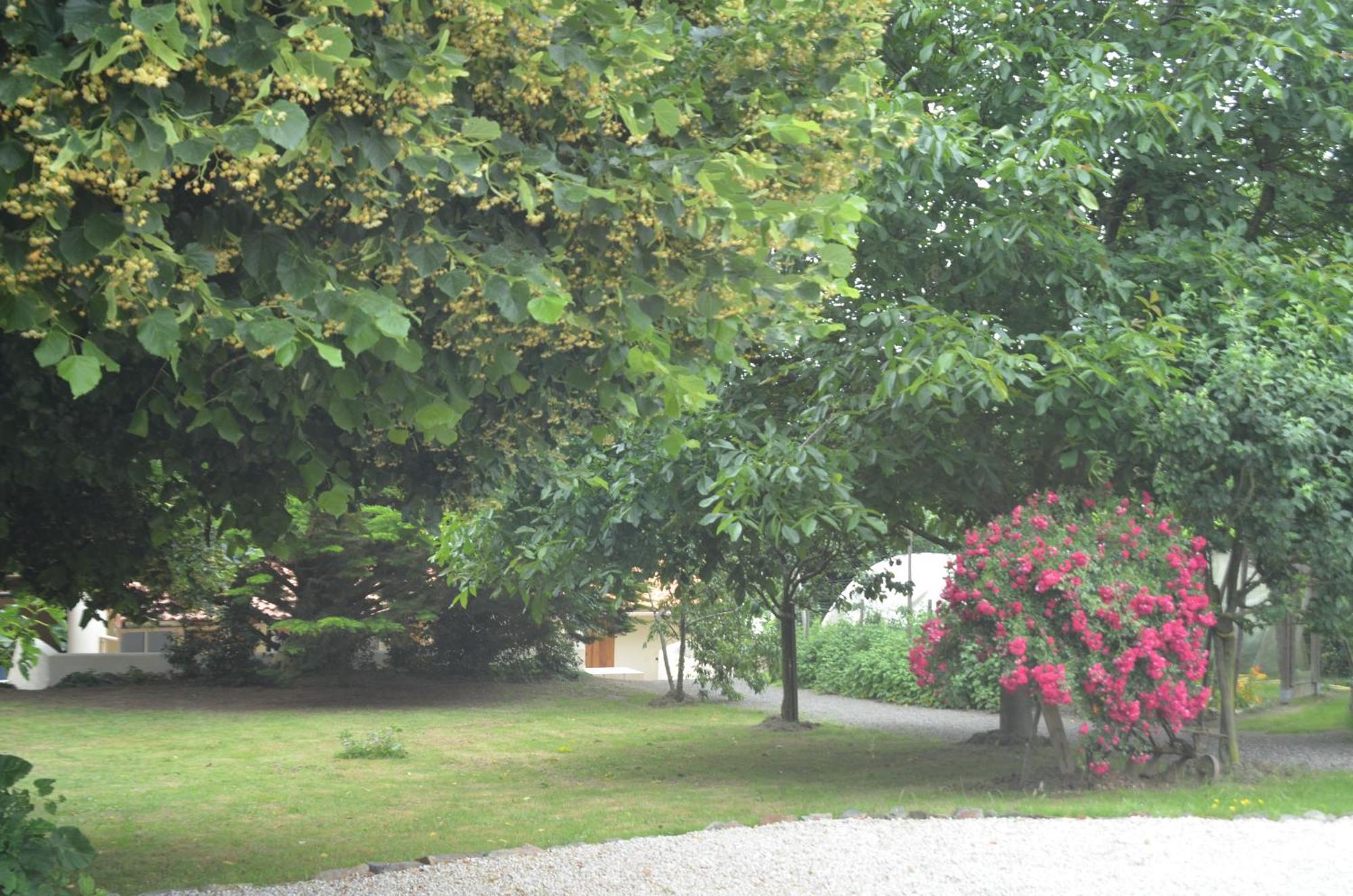 Chambres D'Hotes La Forterie Vaire Exterior photo